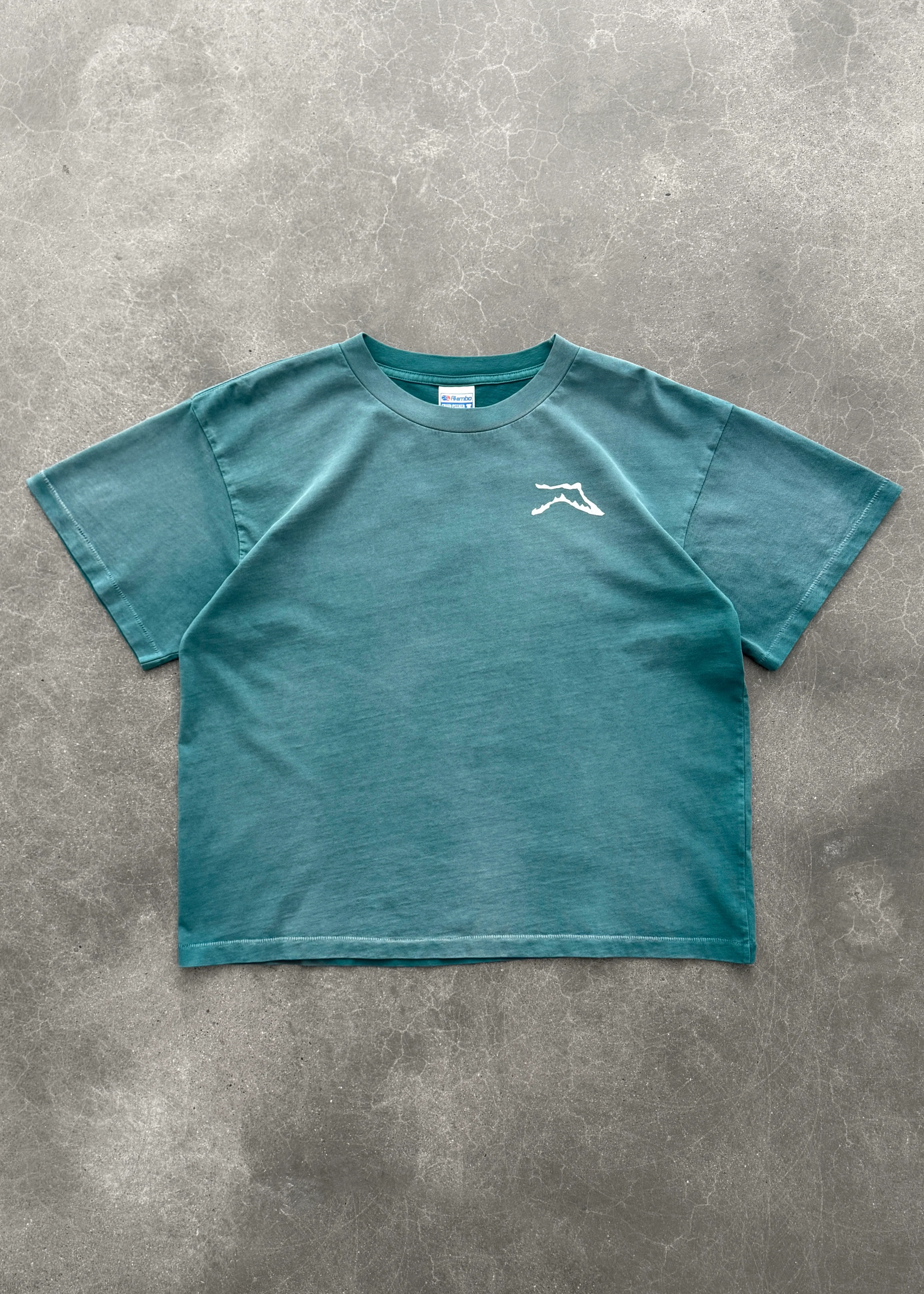 TEES